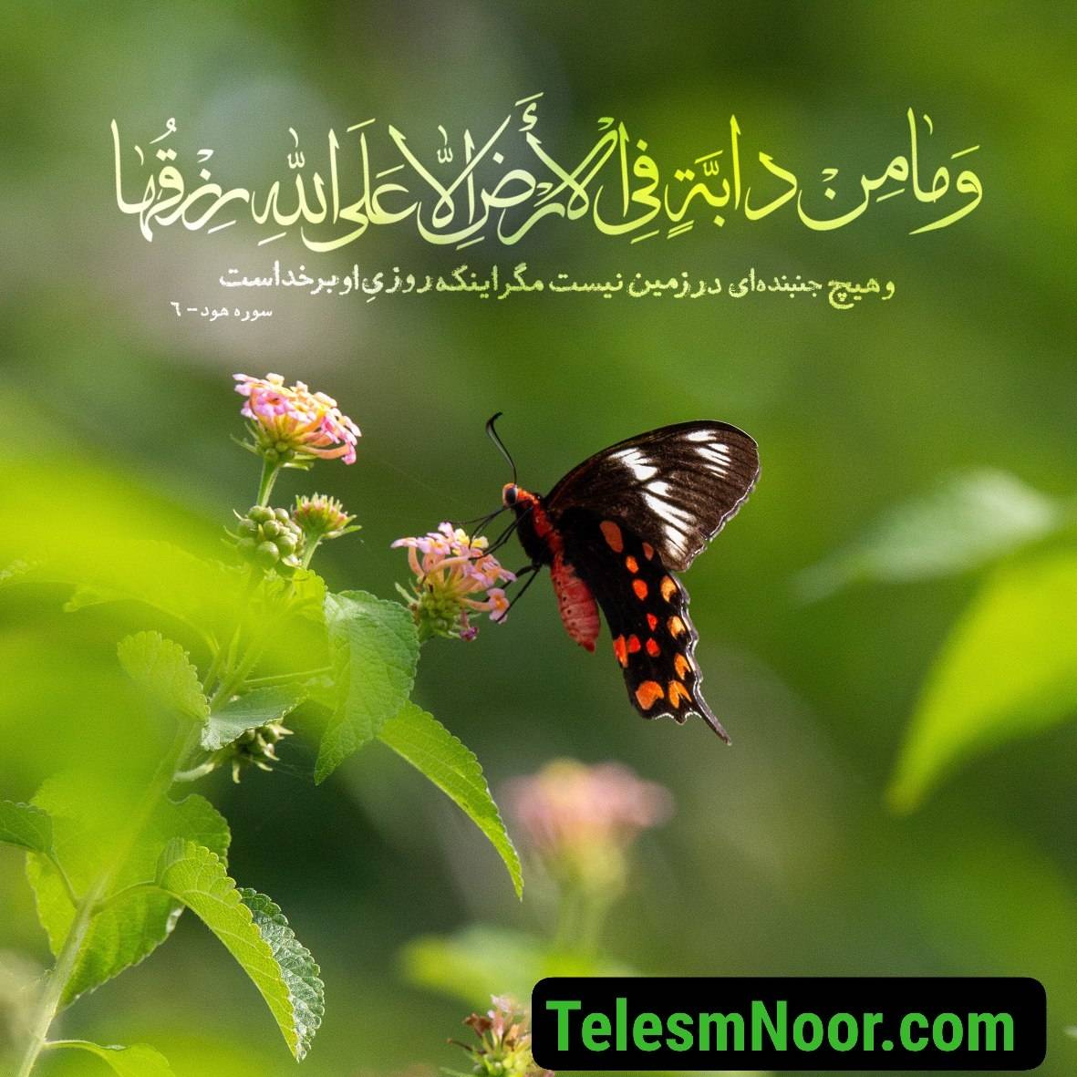 قدرتمندترین دعای رزق و روزی و افزایش مشتری 2 IMG 20260428 233033