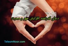 InShot ۲۰۲۴۰۶۱۳ ۱۴۳۵۱۵۸۶۵ 1536x1047 1