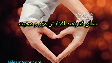 InShot ۲۰۲۴۰۶۱۳ ۱۴۳۵۱۵۸۶۵ 1536x1047 1