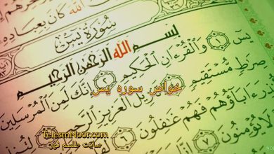 ۸۰ معجزه سوره یس